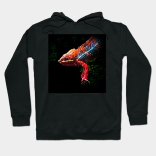 Chameleon Hoodie